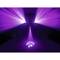 51786065 Eurolite LED TMH-17 Moving Head Spot testa Mobile 30W DMX KaotikaStore