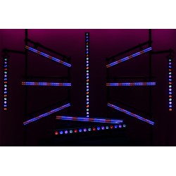 42654 Showtec Spectra Strobe Barra LED 360 x 1W bianco e 384 x 0,5W RGB IP65 effetto luce per spettacoli eventi dj KaotikaStore