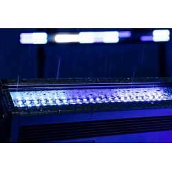 42654 Showtec Spectra Strobe Barra LED 360 x 1W bianco e 384 x 0,5W RGB IP65 effetto luce per spettacoli eventi dj KaotikaStore