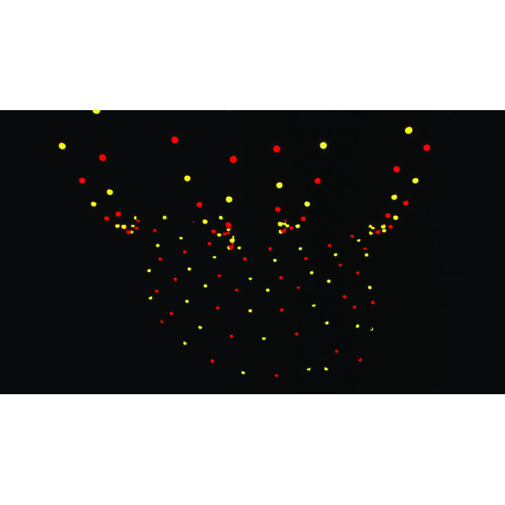 41757 Showtec Festoon Q4 String IP65 20 Pixel 15m RGBW catena luminosa luci controllabili individualmente esterno KaotikaStore