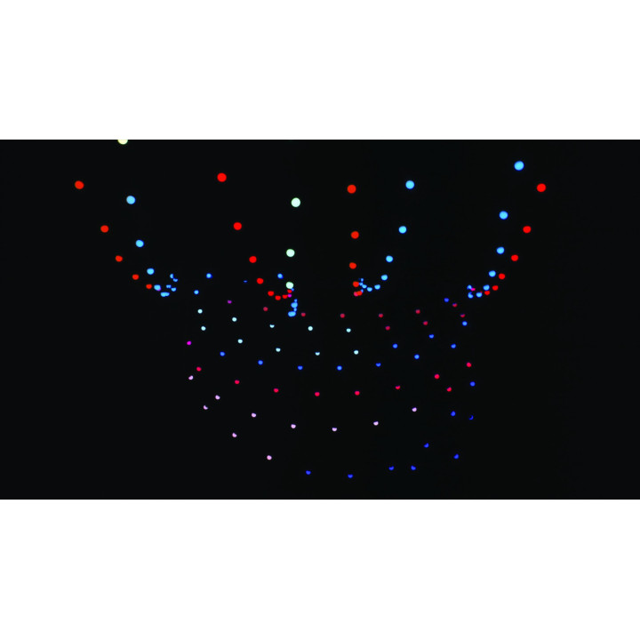 41757 Showtec Festoon Q4 String IP65 20 Pixel 15m RGBW catena luminosa luci controllabili individualmente esterno KaotikaStore