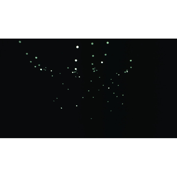 41757 Showtec Festoon Q4 String IP65 20 Pixel 15m RGBW catena luminosa luci controllabili individualmente esterno KaotikaStore