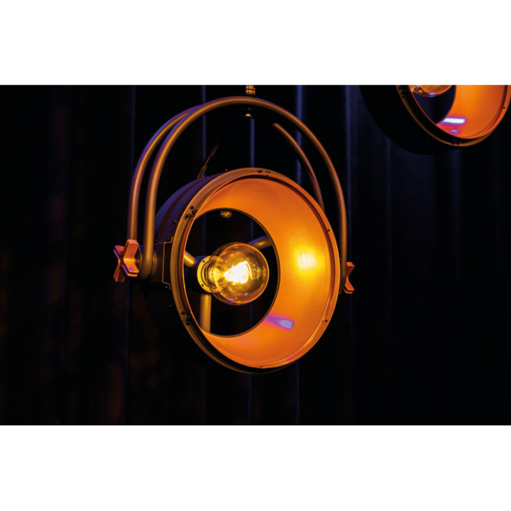 43331 SHOWTEC Edison Vintage 2 Pale Gold / Grey KaotikaStore 8717748621993