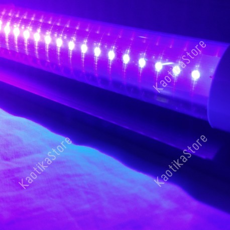 80322 Showtec Lampada UV LED blacklight con plafoniera slim ultravioletti party fluo 8717748370266 lampadina led ultravioletto d