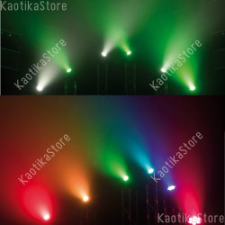 Showtec Shark Wash One 7x 12W Q6 LED testa mobile beam luci discoteca testa rotante DMX