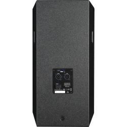 DAP NRG-10 Diffusore a gamma completa da 10” passivo cassa passiva 150 W RMS, SPL max di 115 dB a 1 m KaotikaStore